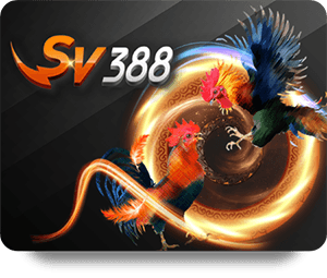 JUN88 Thể Thao VIP: Chiến Thuật Cá Cược Bóng Đá Hiệu Quả